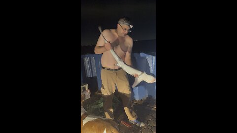 Shark fishing New Jersey