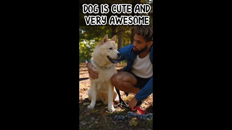 Dog is cute and awesome