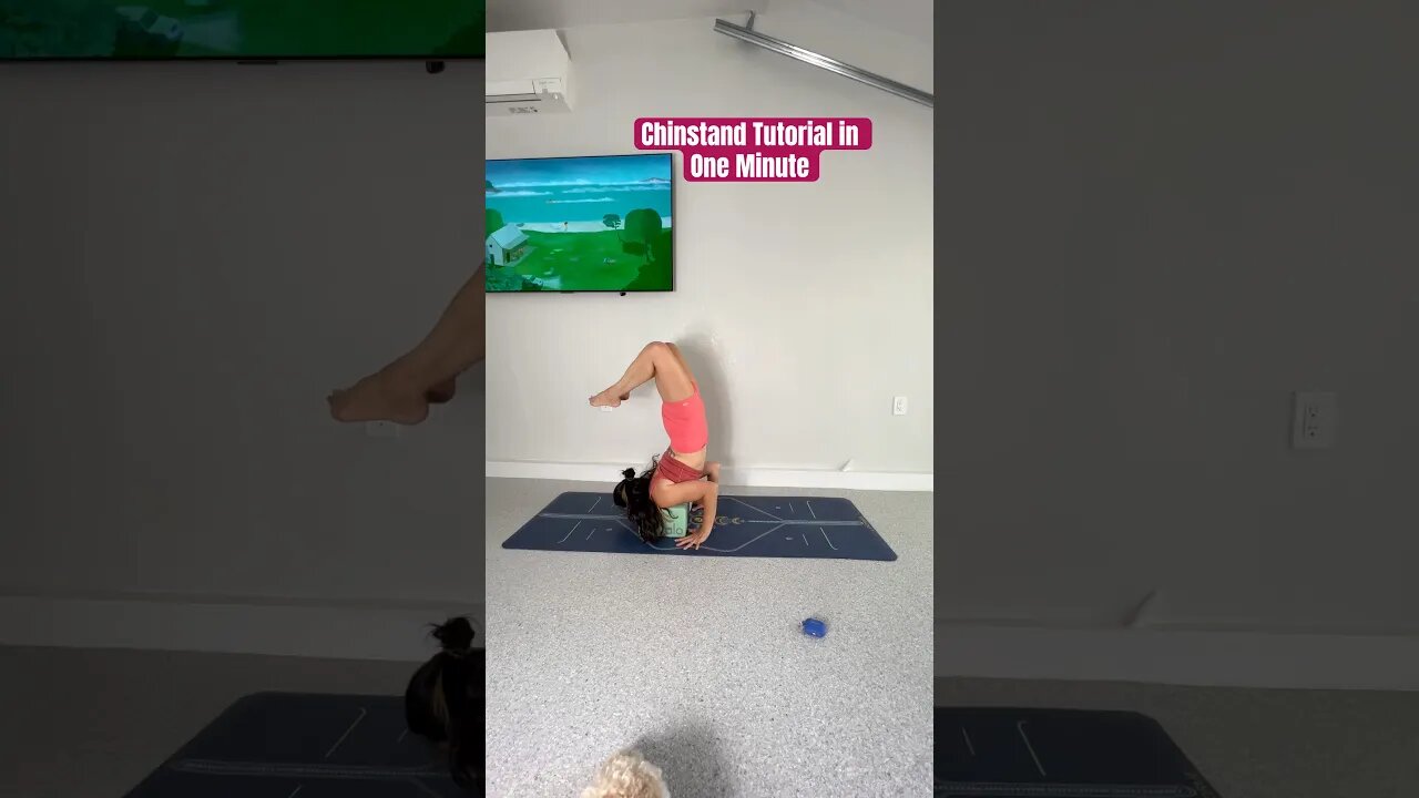 Chinstand / Ganda Bherundasana one minute Tutorial 💕
