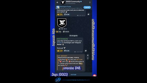 LANÇAMENTO CRIPTO - Binance Launchpad lança a Criptomoeda Dogs (DOGS)