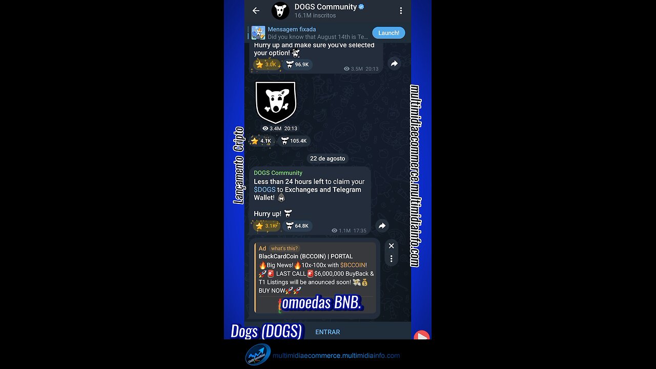 LANÇAMENTO CRIPTO - Binance Launchpad lança a Criptomoeda Dogs (DOGS)