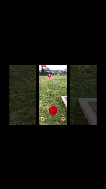 Pokémon Go AR+ everything is fleeing? Glitch?