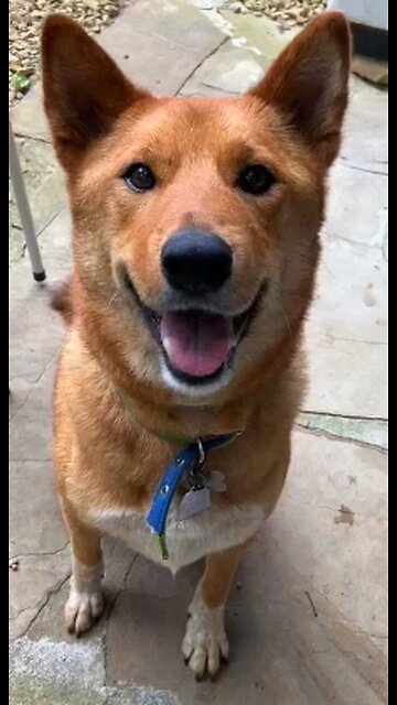 Sometimes You Gotta Tell em Who’s King