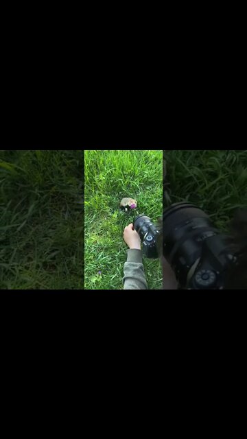 "Always remember that you are absolutely unique. Just like everyone else." -Margaret MeadThe