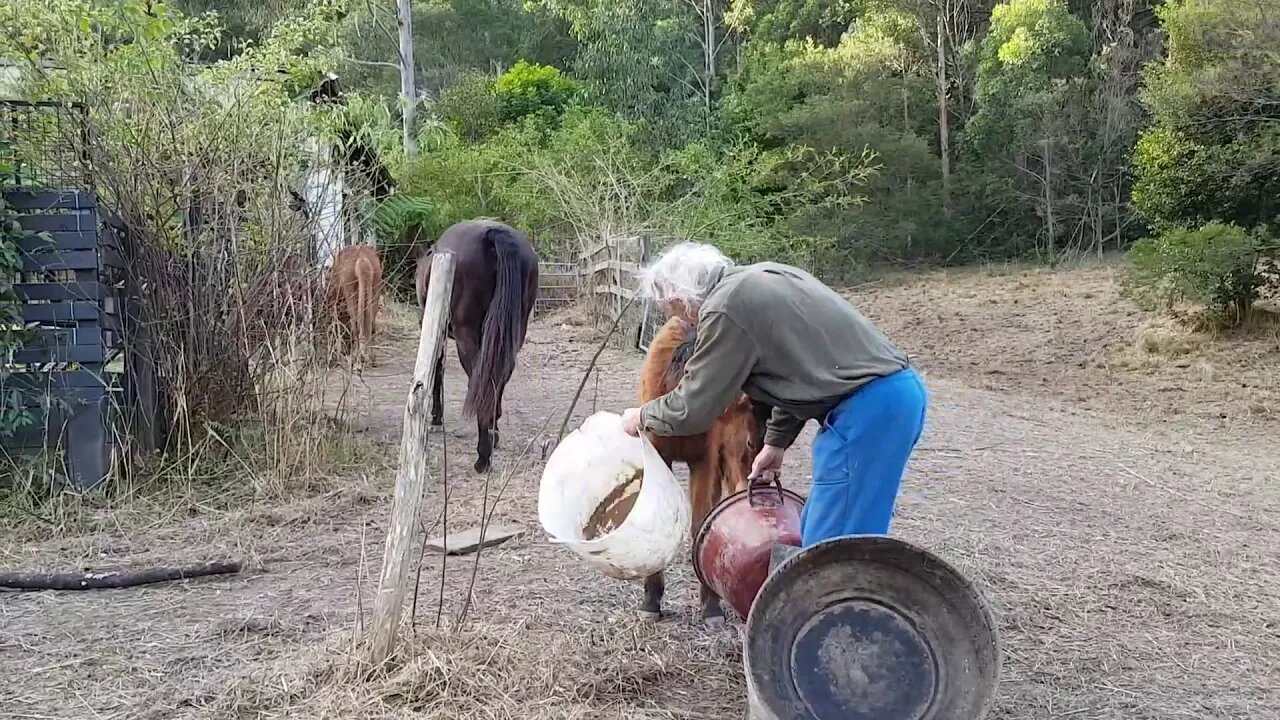 20180823_155155.mp4