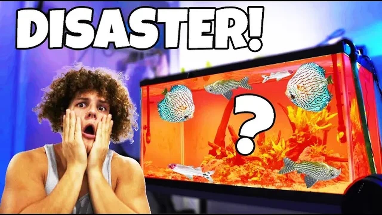 Saving DYING FISH From SECRET Killer!