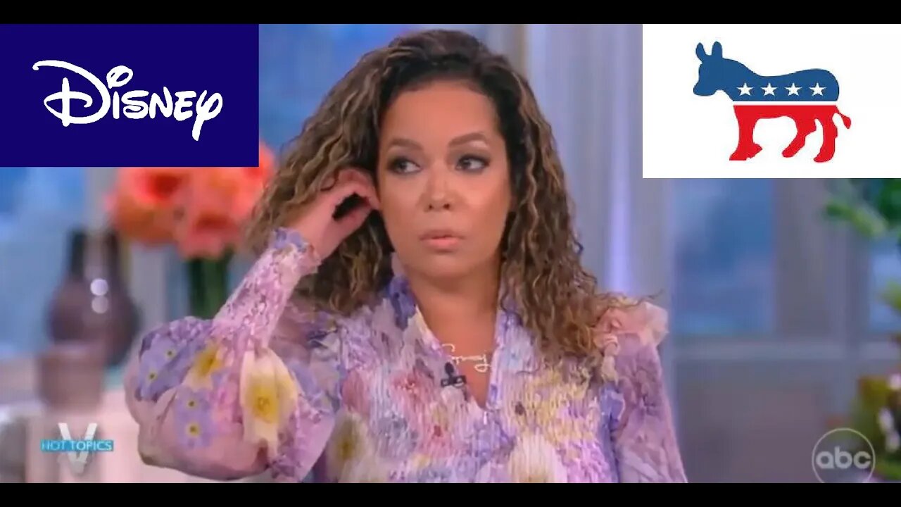 The View’s SUNNY HOSTIN Reminds People via DISNEY ABC That Democrats OWN Black People & Latinos