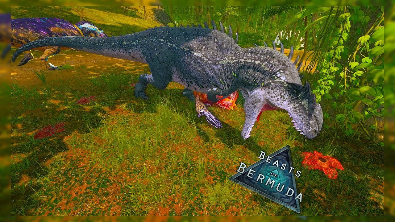 VELO CRUNCHING RELOADED | Beasts of Bermuda