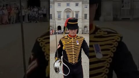 The Queen's Guard Shouts at armed police officer to make way for the guard #horseguardsparade