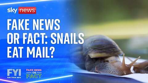 Fake news or fact: Snails eat mail?