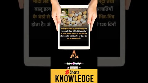 Motivational Quotes Intresting Facts & research #shorts #ytshorts #knowledge #motivation #yogi