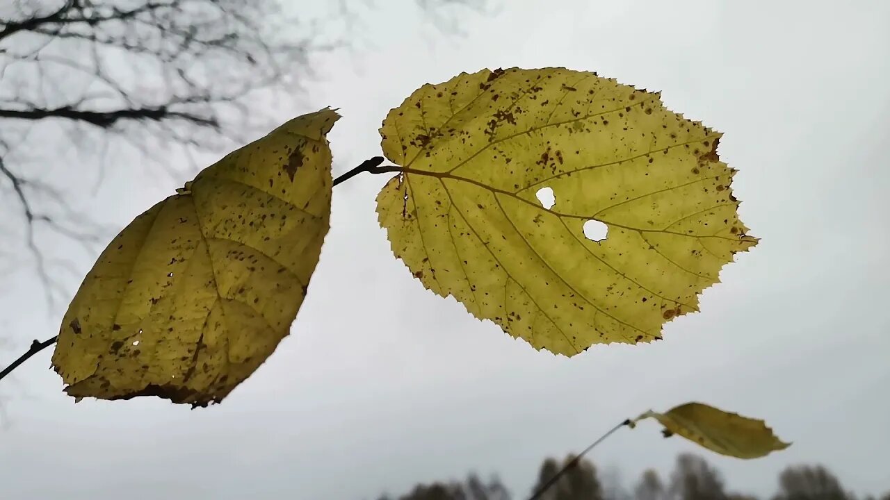 tak czy siak... narzekanie mocno przereklamowane :):) Anna Budzik