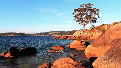 The sound of the sea for sleep. Sea Noise of the surf. Sounds of nature.