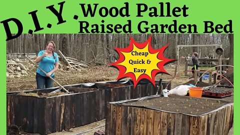 D.I.Y. Wood Pallet Raised Garden Beds