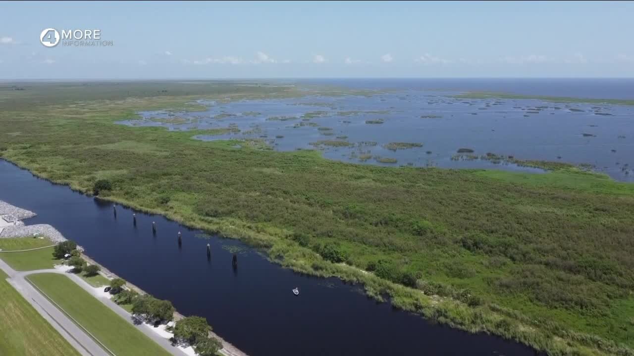 Lake Okeechobee Blue-Green Algae Outbreak Forecasted in Coming Months