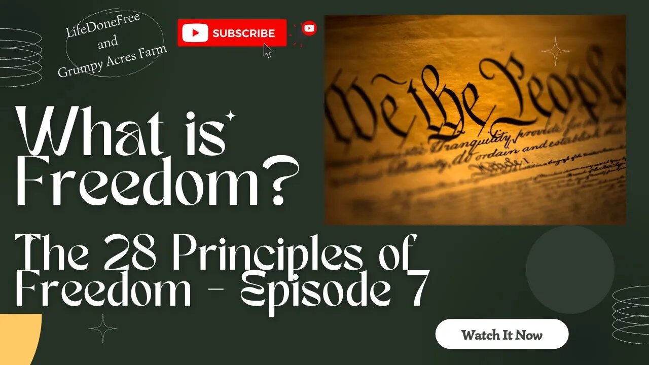 What is Freedom? 28 Principles of Freedom - Episode 7