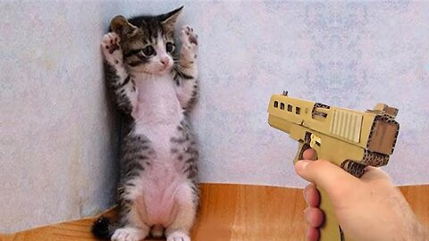 Funny Animal Videos 2023 😂 - Funniest Cats And Dogs Video 😺😍