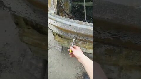 #shorts #2022 funny,prank,funjokes,dad jokes,funny memes,funny video,fun,laughing,funny animal,knock