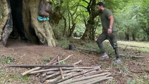 Build a warm shelter with a fireplace inside a 5,000 year old tree.11