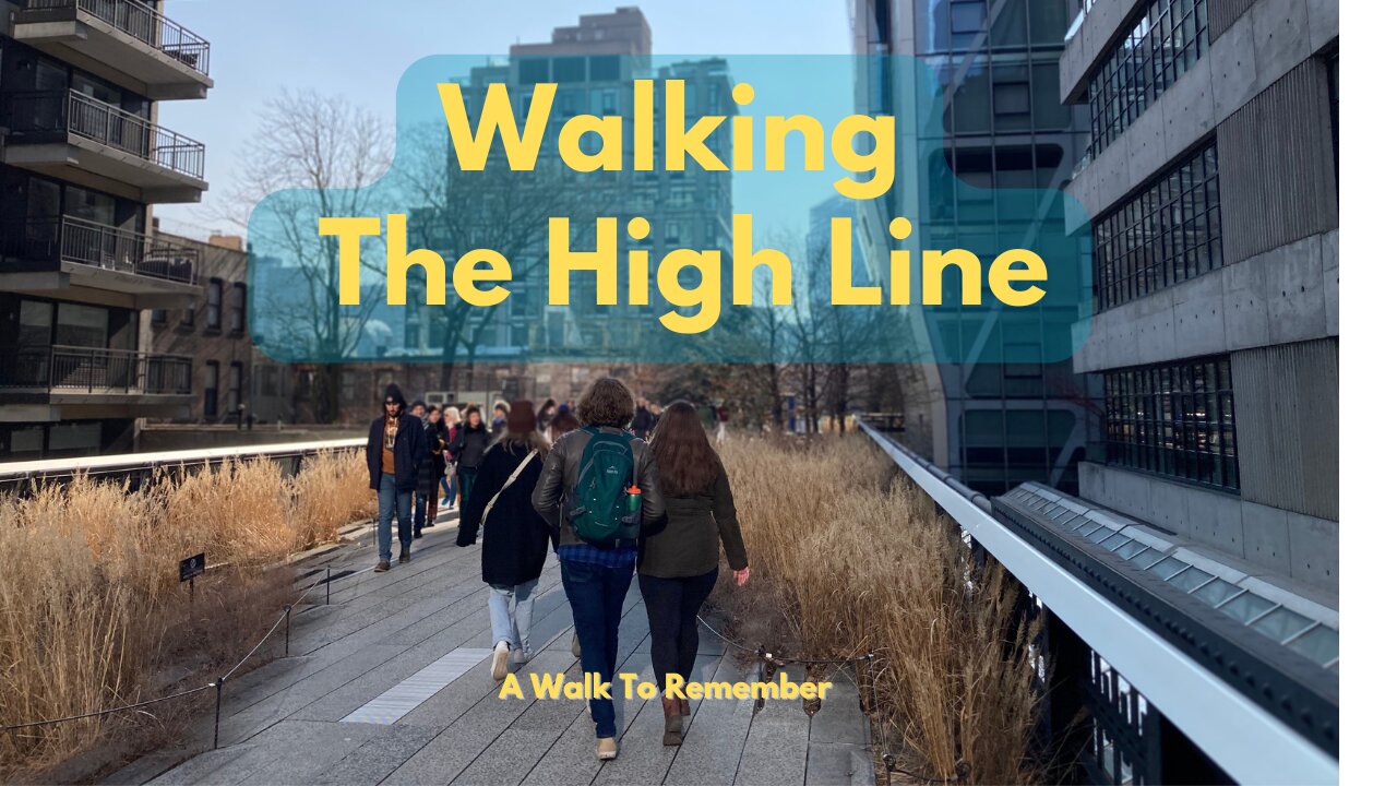 Exploring NYC | Walking The High Line until Hudson - Winter in NYC