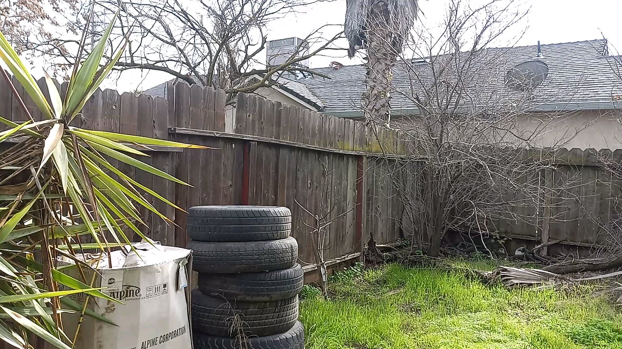 Escrima Tire dummy