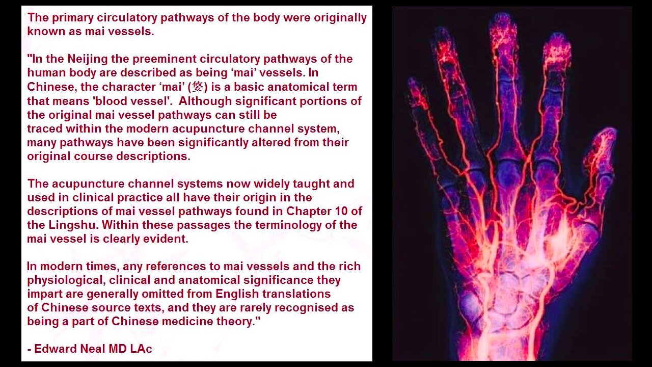 what are the vessel pathways circulating blood and vital substances for robust health?