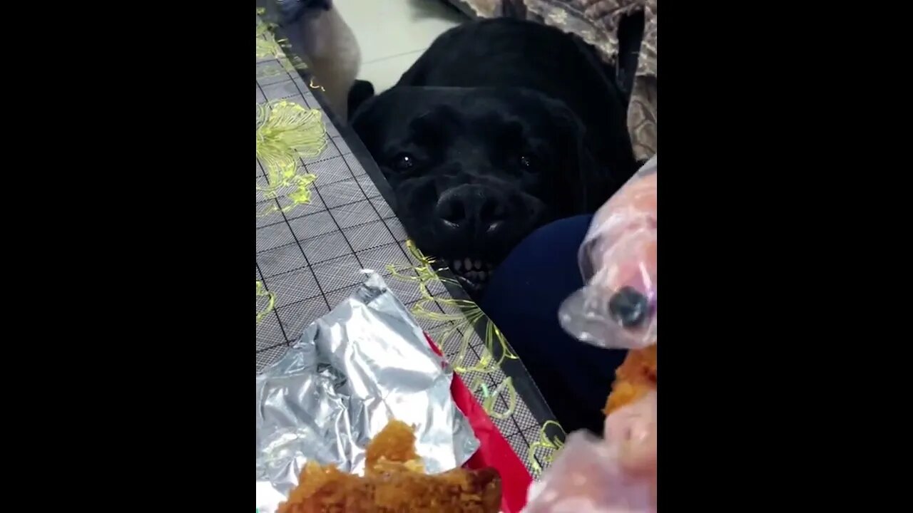 I’ll be Watching You...