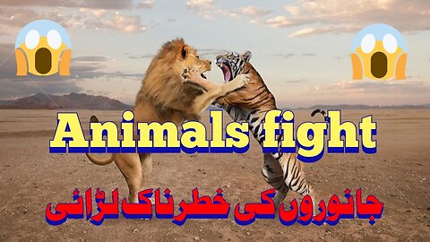 Most amazing moments of wild animals 2023