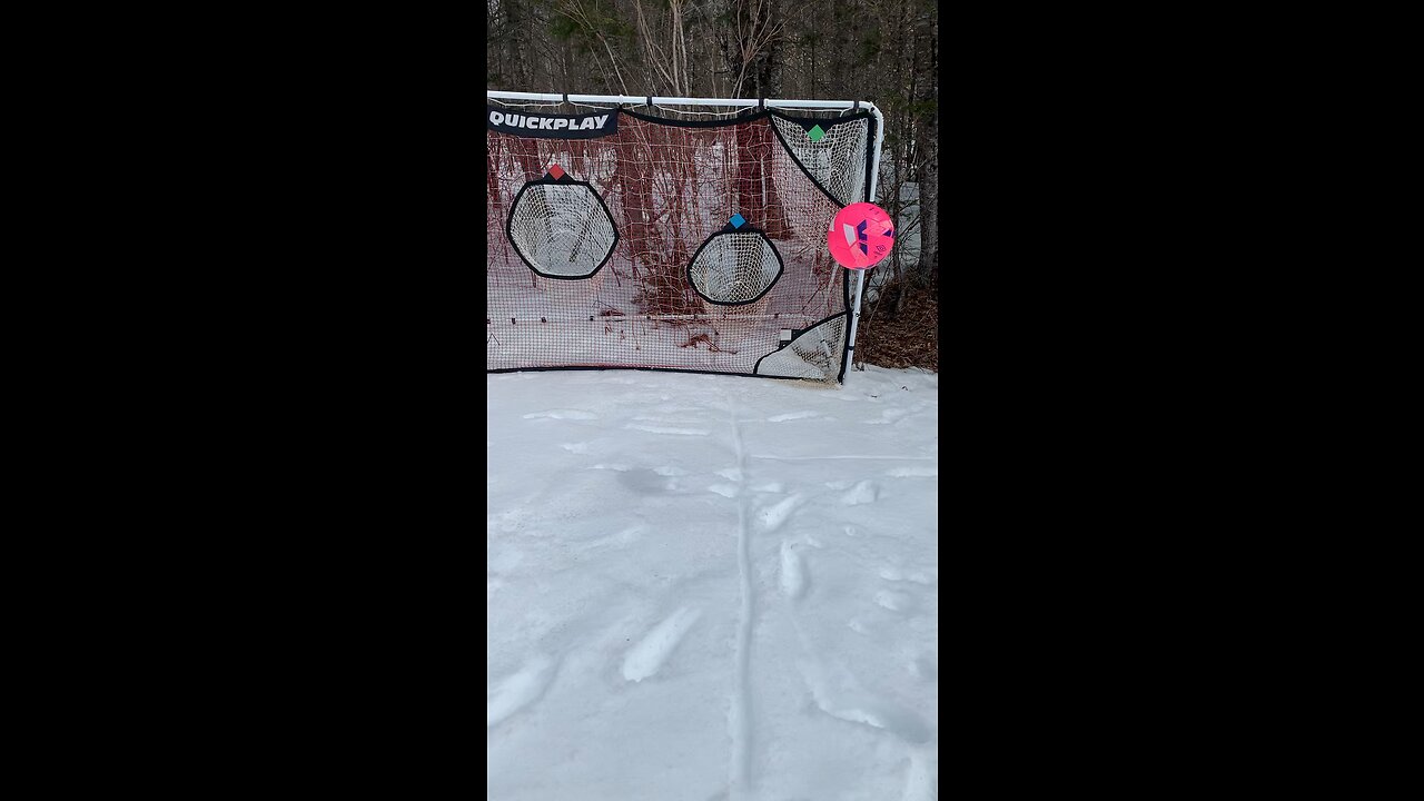 Top bins🤩