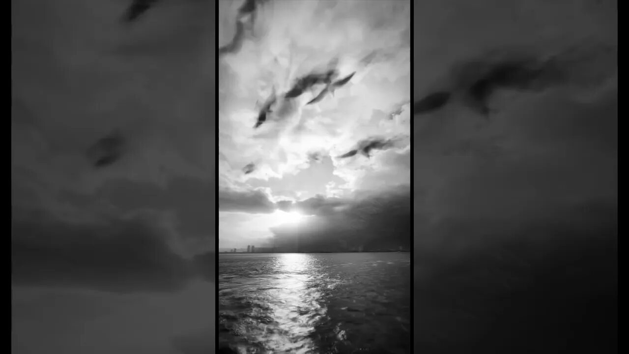 A Surreal Symphony by the Sea #nft #objkt
