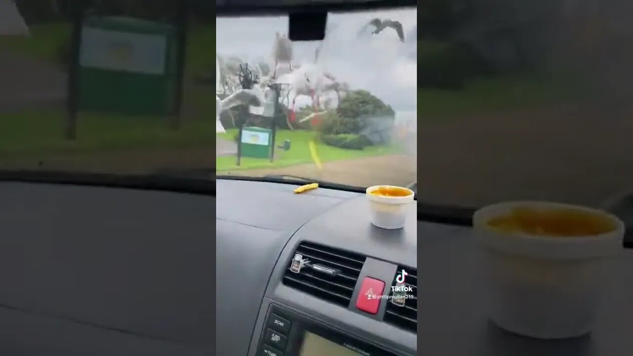 ۲۱ اوت ۲۰۲۲