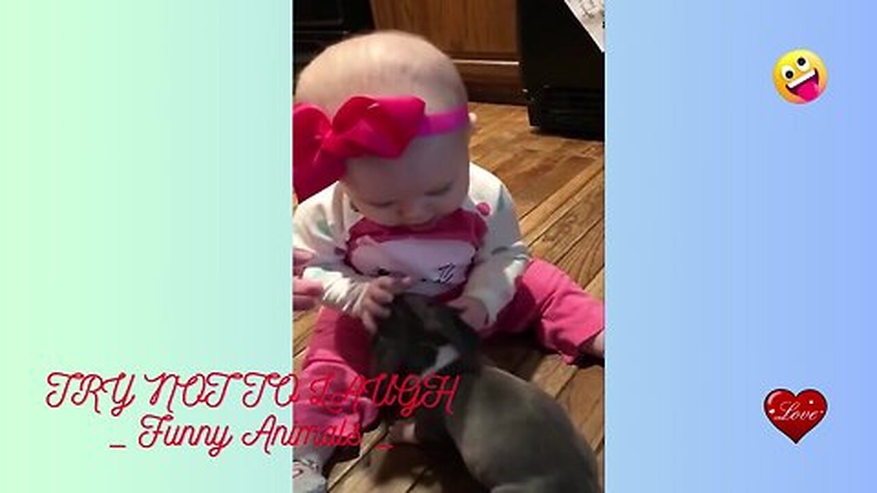 Funny Babies Compilation 2023: Adorable Babies Playing With Dogs and Cats