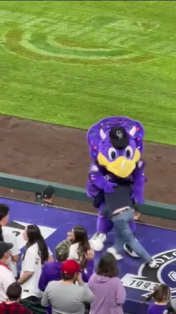 Person tackles Dinger during Colorado Rockies game
