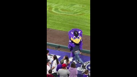 Person tackles Dinger during Colorado Rockies game