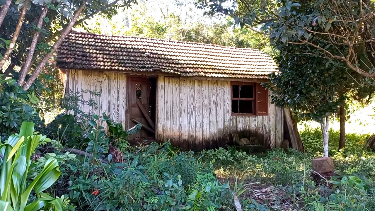 Casa de madeira muito antiga abandonada no morro da Borrússia/RS