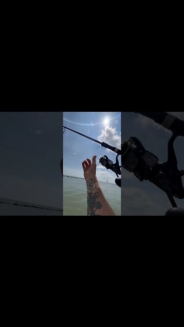 Fishing Big Crabs For Bait on The Jetty For Monster Fish