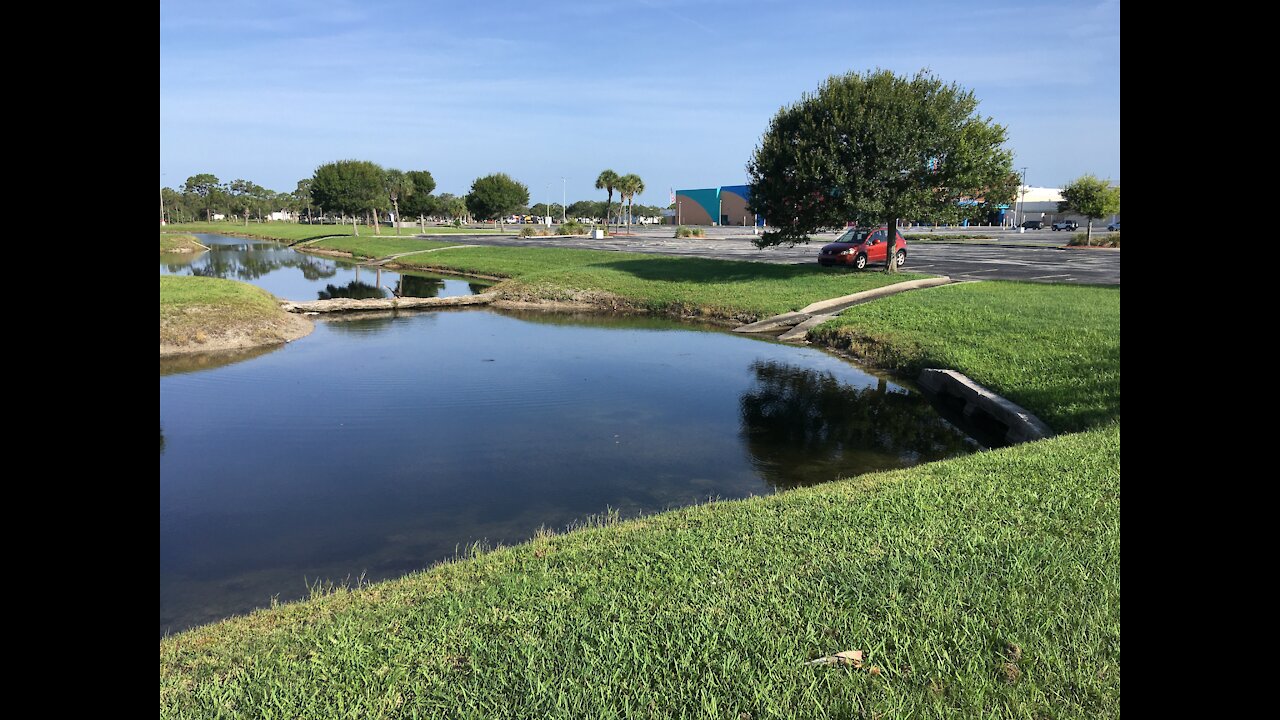 Fly Fishing Veteran's Memorial Park in Brevard County, Florida