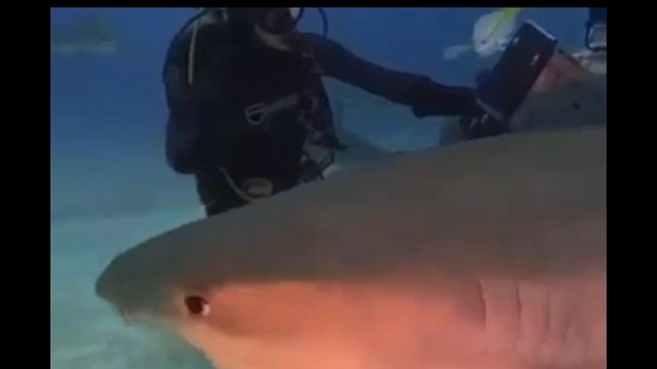 Tiger Shark pass, Tiger Shark overhead