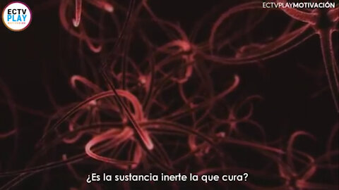 El poder del pensamiento contralando nuestra propia biología.