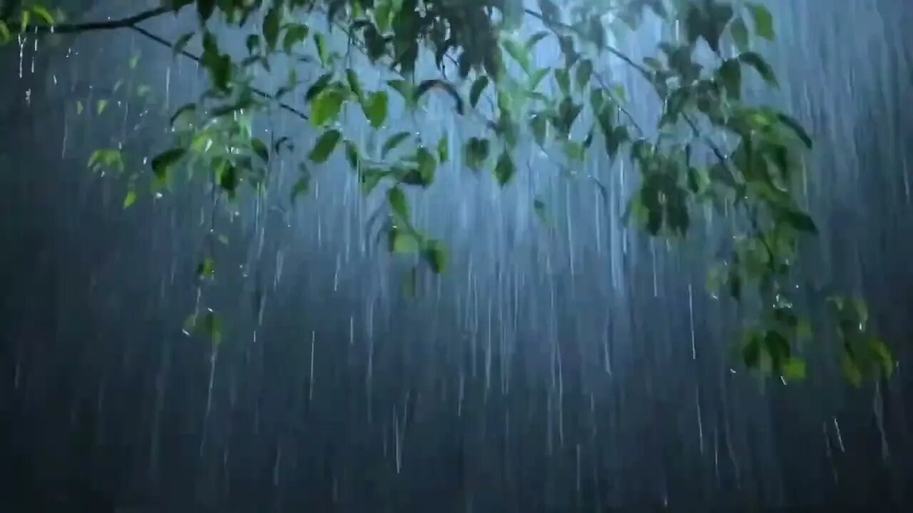 失眠天敌:雨声助眠,让你在大自然中轻松入睡,告别失眠的烦恼ASMR#shorts #rainsounds #rain #sleep #sleepmusic