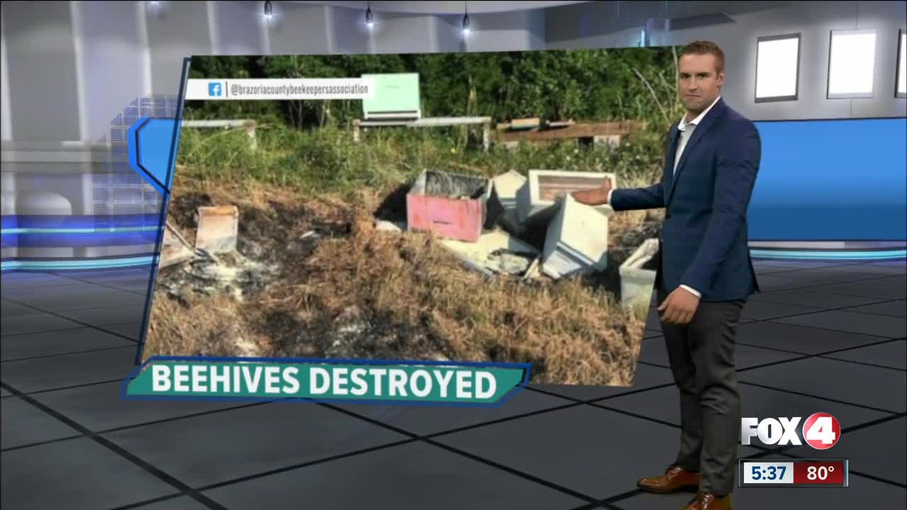 Beehive set on fire in Texas