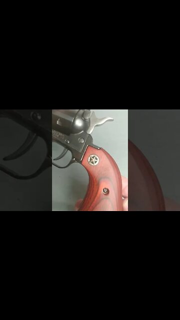 Altamont Grips on Heritage Revolver