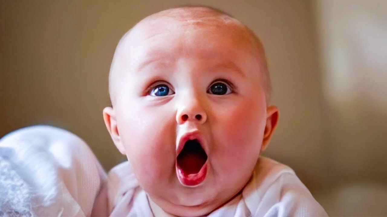 Funny Baby Videos - Adorable Chubby Baby Moments