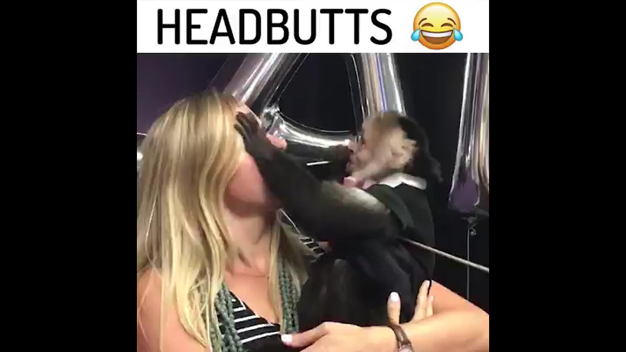 funny video headbutts