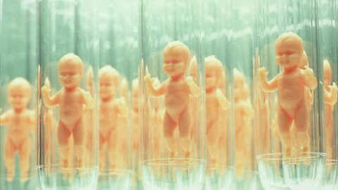 Genetically Engineered Babies Change Society You Now Must Have The Right Genes For The Job