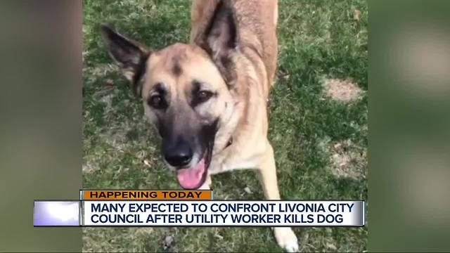 Many expected to confront Livonia City Council after utility worker kills dog