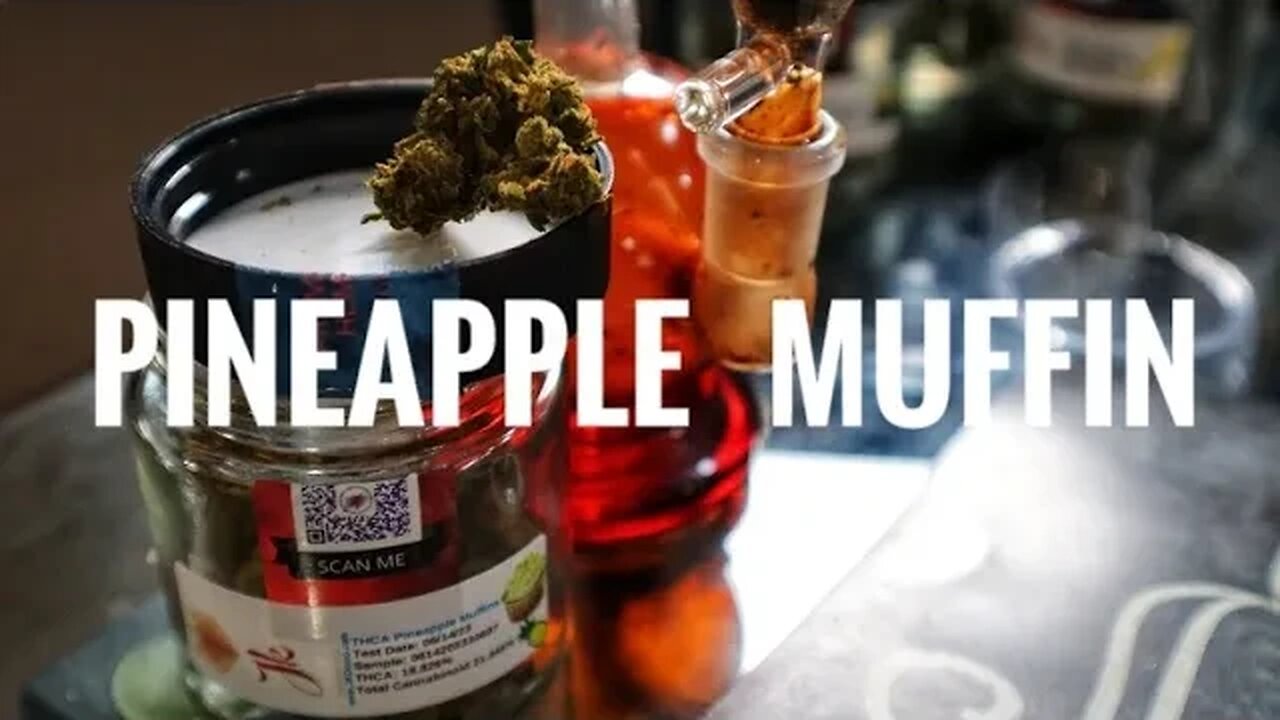 Pineapple Muffins? 🍍 JK DISTRO