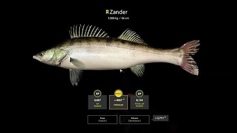 Russian Fishing 4 Ladoga Archipelago Zander 5 Kg