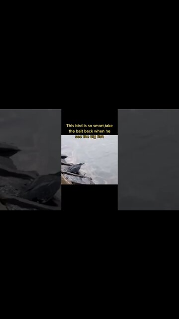 Most Amazing and trending video||relaxing your mind||trendig videos|| #shorts #trending #viral #live