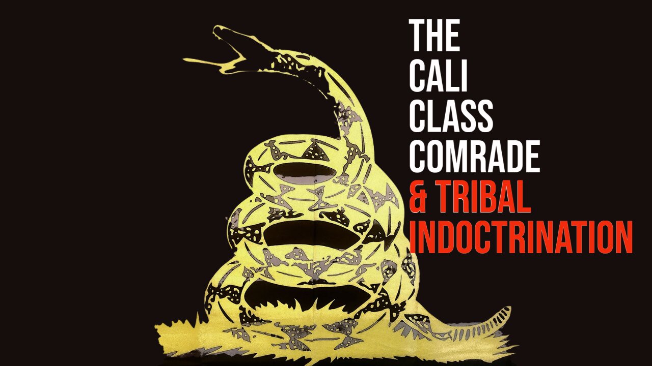 The Cali Class Comrade & Tribal Indoctrination - State of Dissidents #11